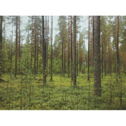 Enormous Aluminum Hat fr-FR